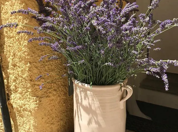 Casa Angela Cir 0057 아파트